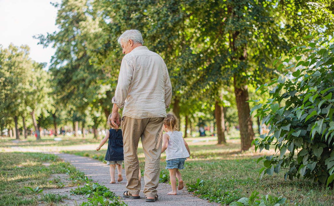 A grandfather walking a sunlit park path with two young grandchildren, seen from behind, no faces visible