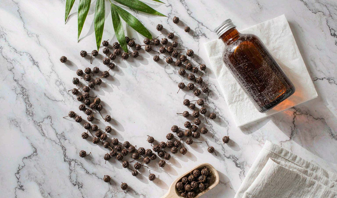 Flat lay of dried saw palmetto berries, palm frond tips and a blank amber bottle on white marble
