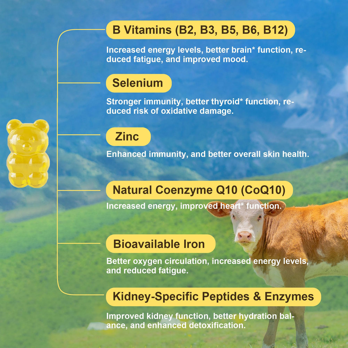Beef kidney gummies supplement facts panel and 60 count bottle