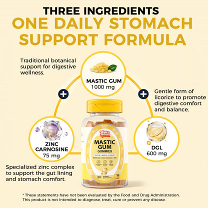 Stomach Support Gummies for Men Over 50 | Mastic Gum, Zinc Carnosine & DGL