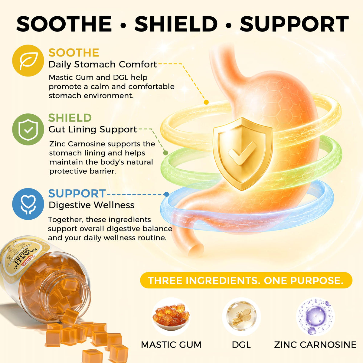 Stomach Support Gummies for Men Over 50 | Mastic Gum, Zinc Carnosine & DGL